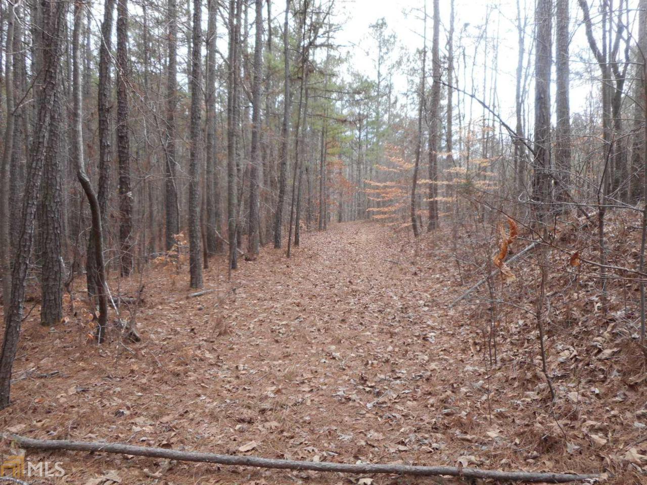 0 Brazell Rd - Photo 1