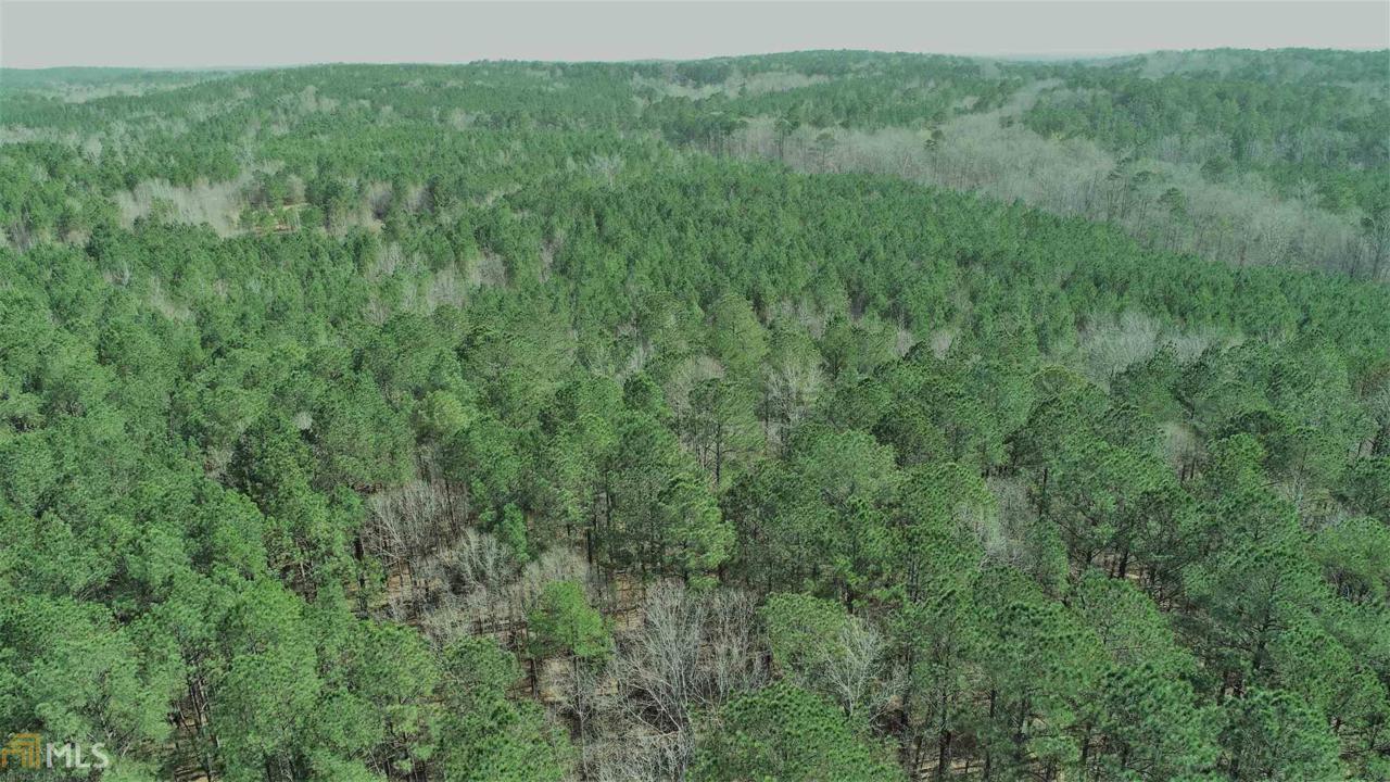 0 Wehadkee Creek Rd - Photo 1