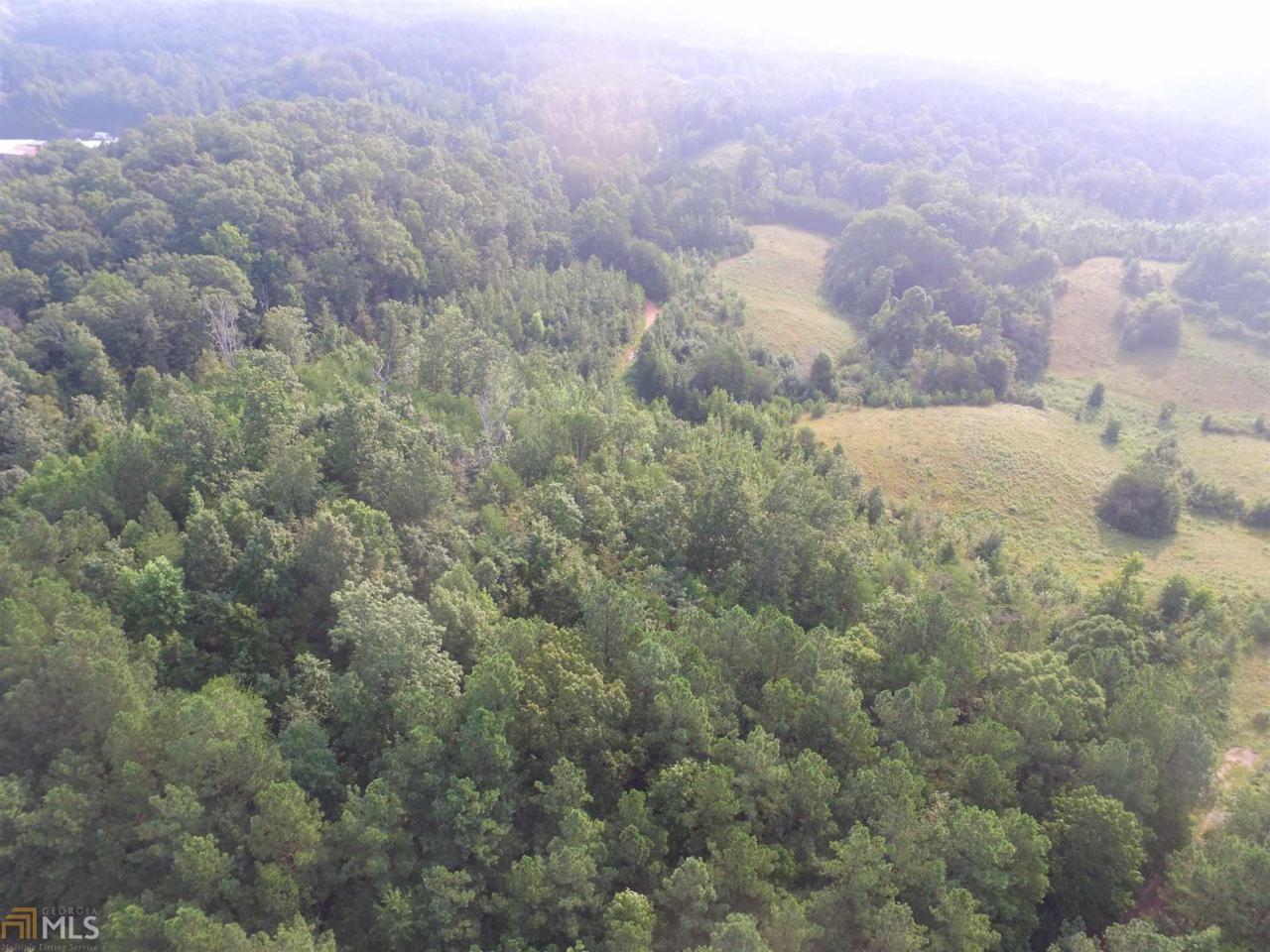 0 Cartersville Hwy - Photo 1