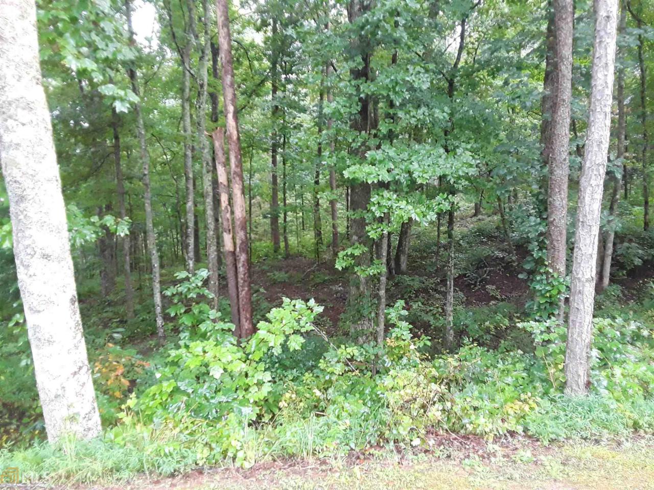 0 Doll Mountain Rd - Photo 1