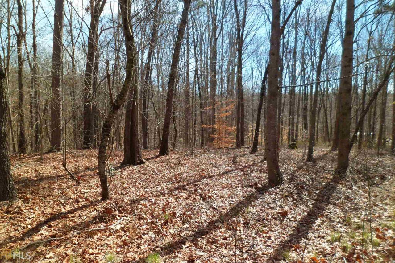 7318 Sloan Stephens Rd - Photo 1