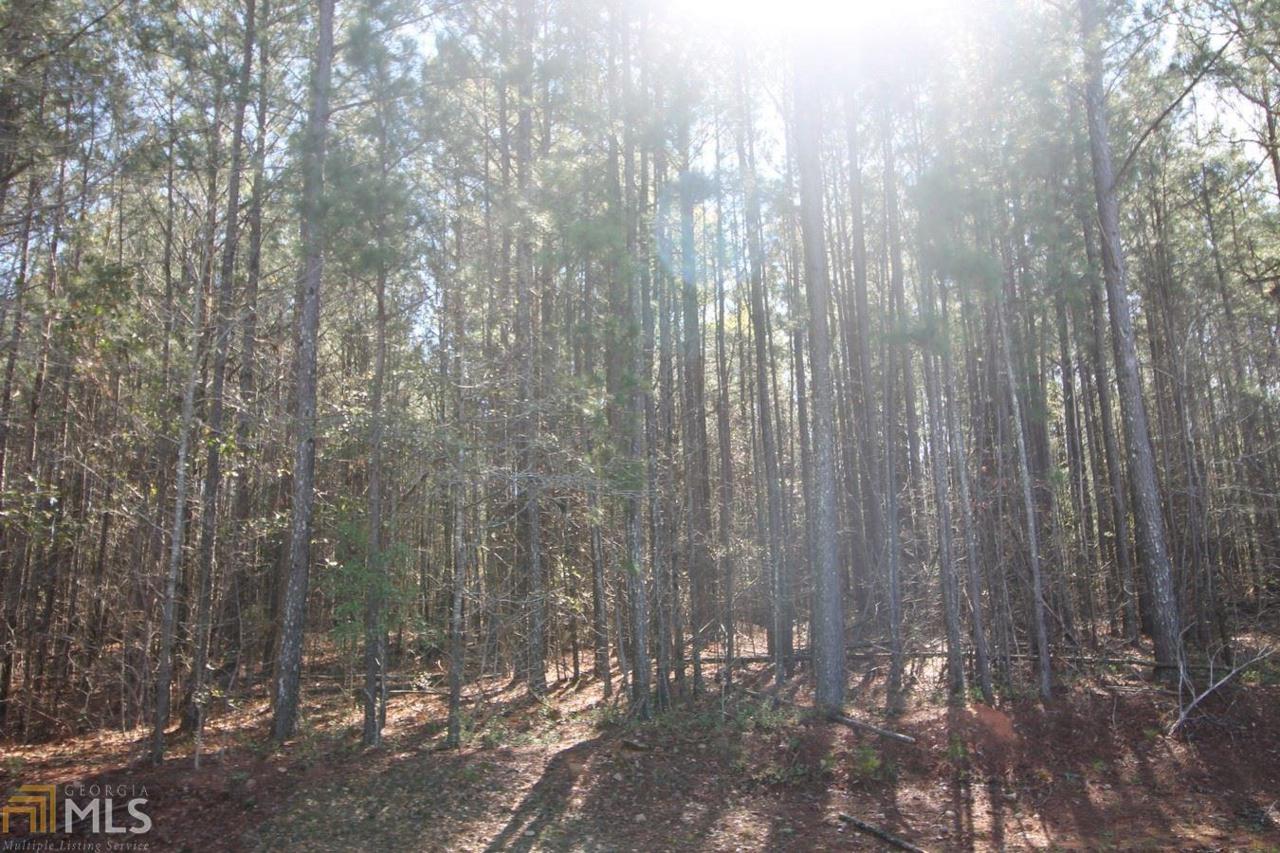 0 Ponder Pine - Photo 1