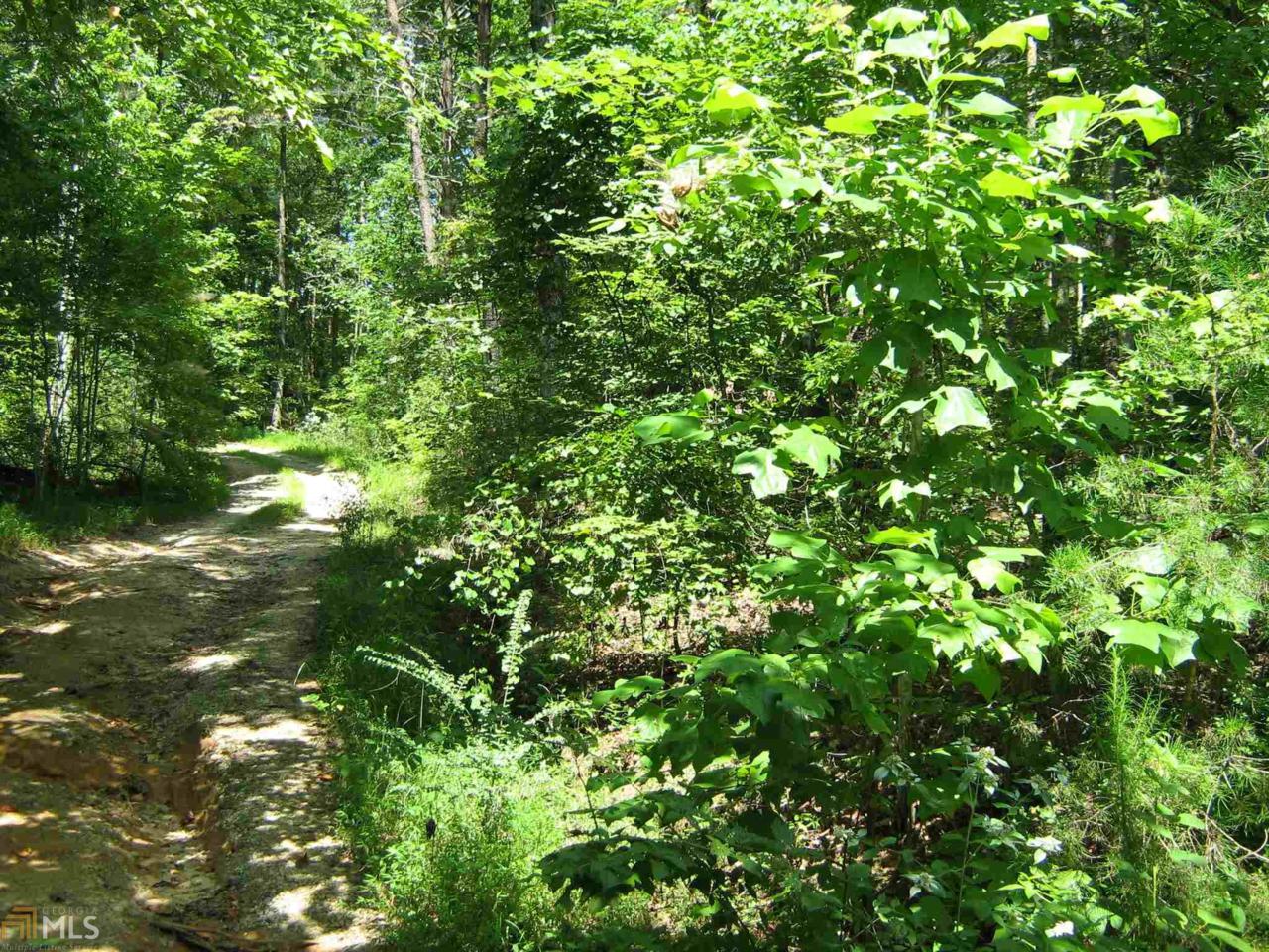 0 Jim Carter Rd - Photo 1