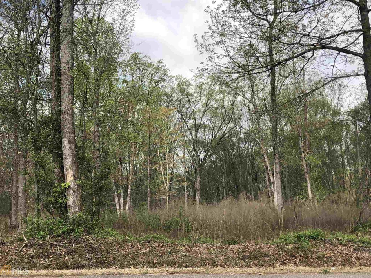 0 Scales Creek Rd - Photo 1