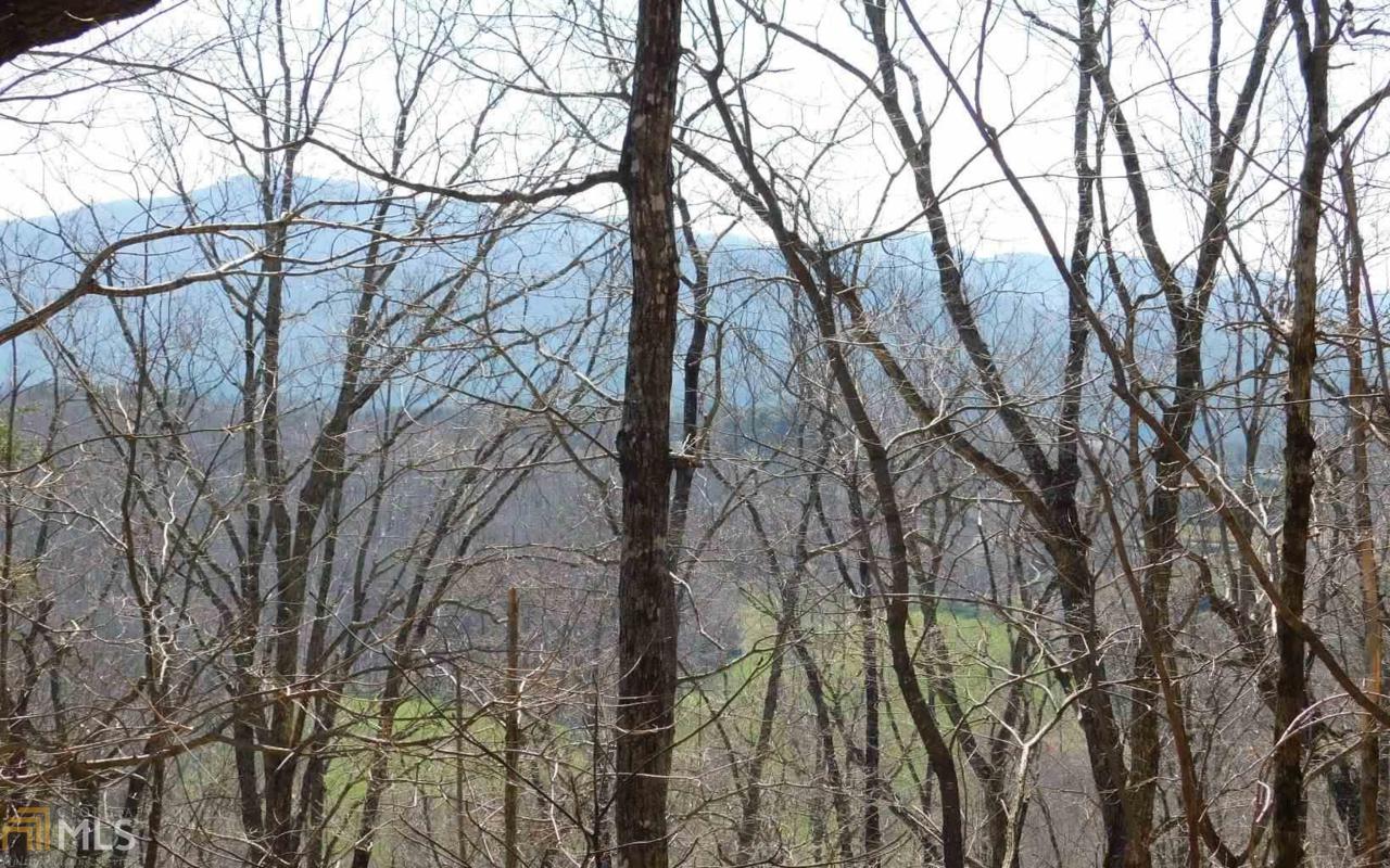 Lot 6 Deer Valley - Photo 1