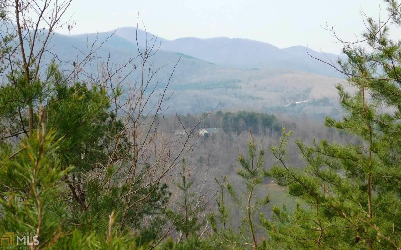 Lot 10 Deer Valley - Photo 1