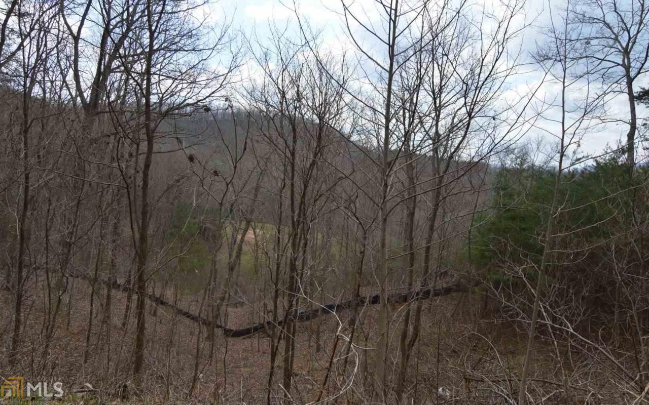 Lot 11 Deer Valley - Photo 1