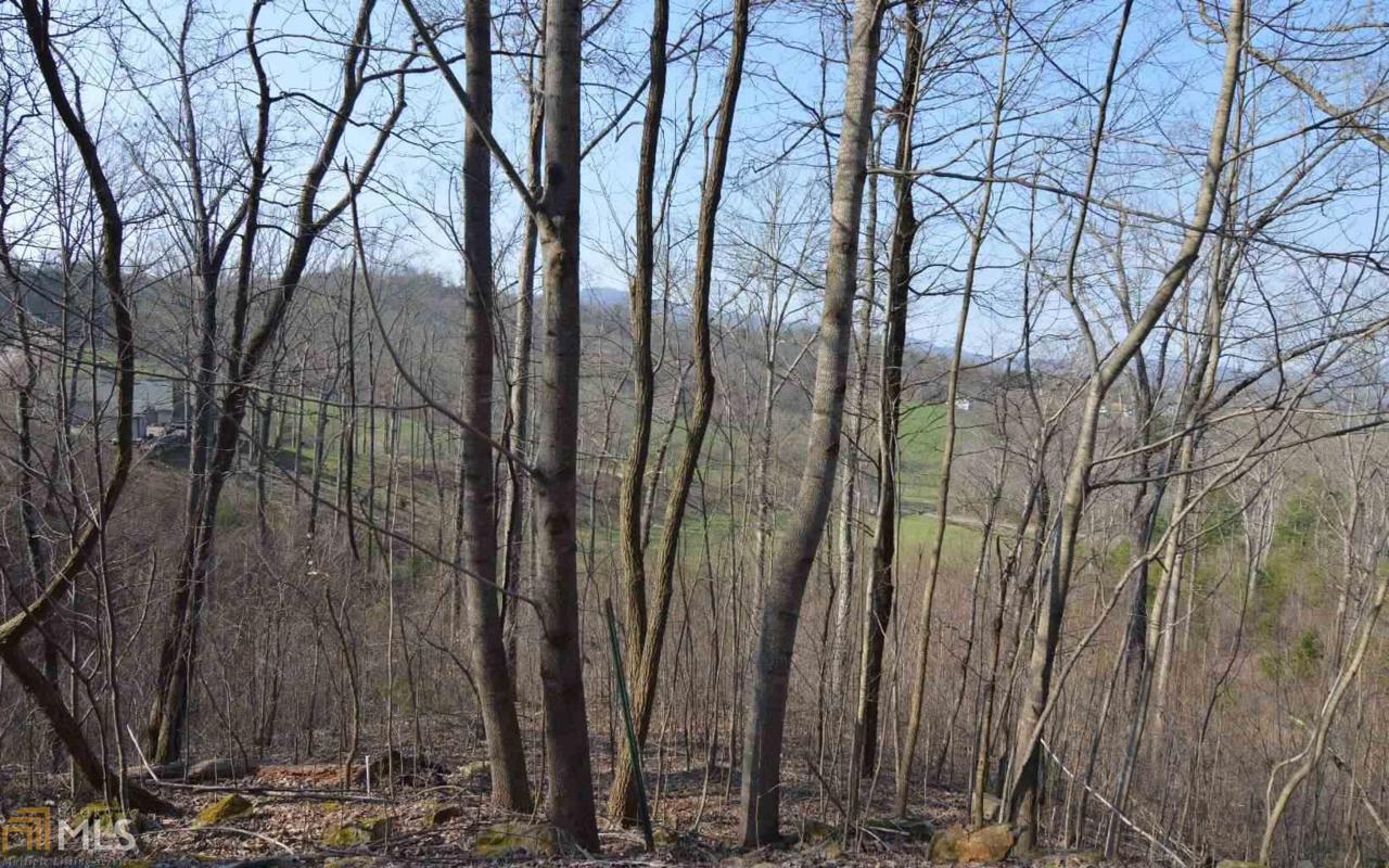 Lot 16 Deer Valley - Photo 1