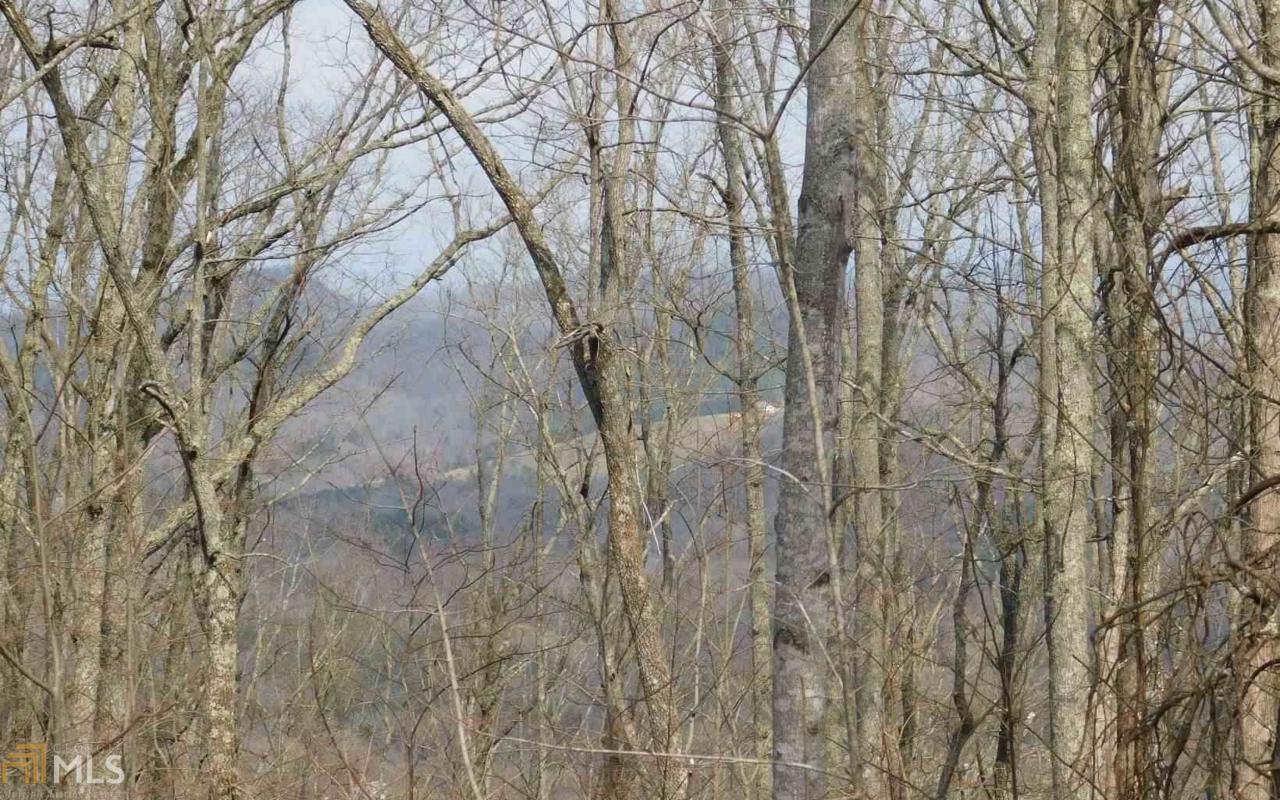 Lot 29 Deer Valley - Photo 1