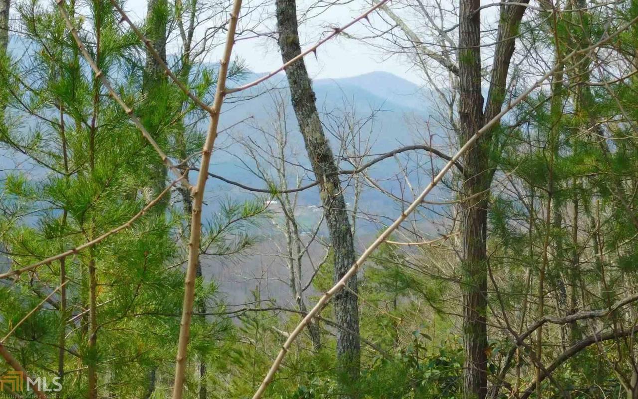 Lot 38 Deer Valley - Photo 1