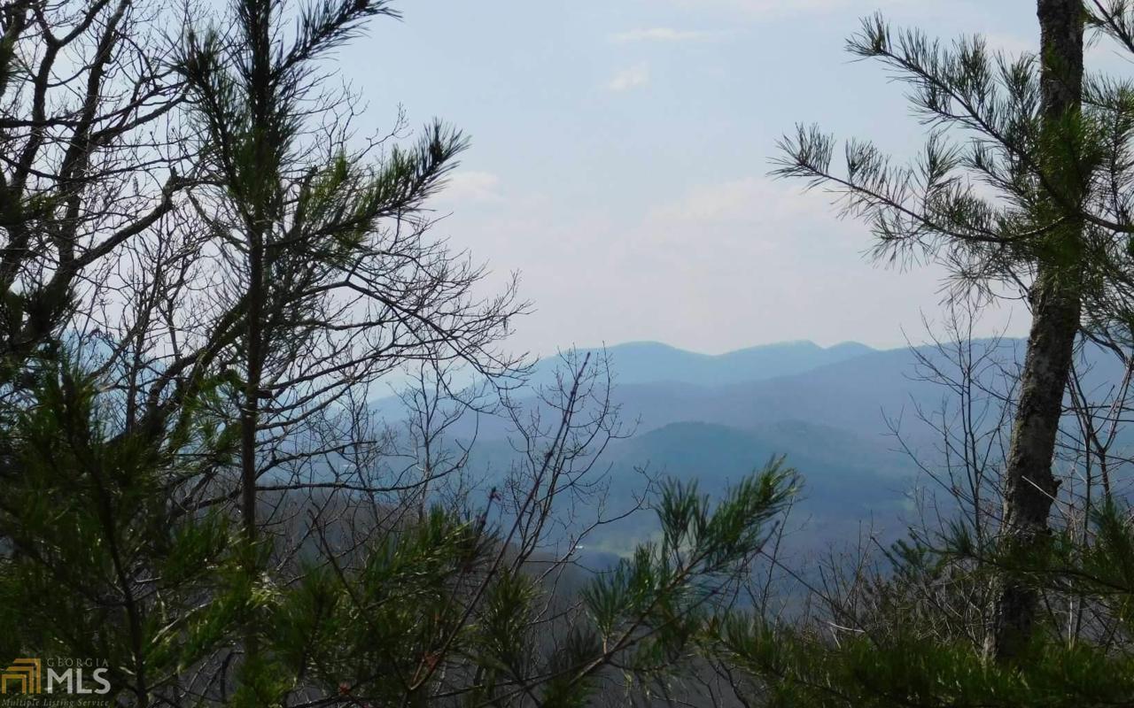 Lot 39 Deer Valley - Photo 1