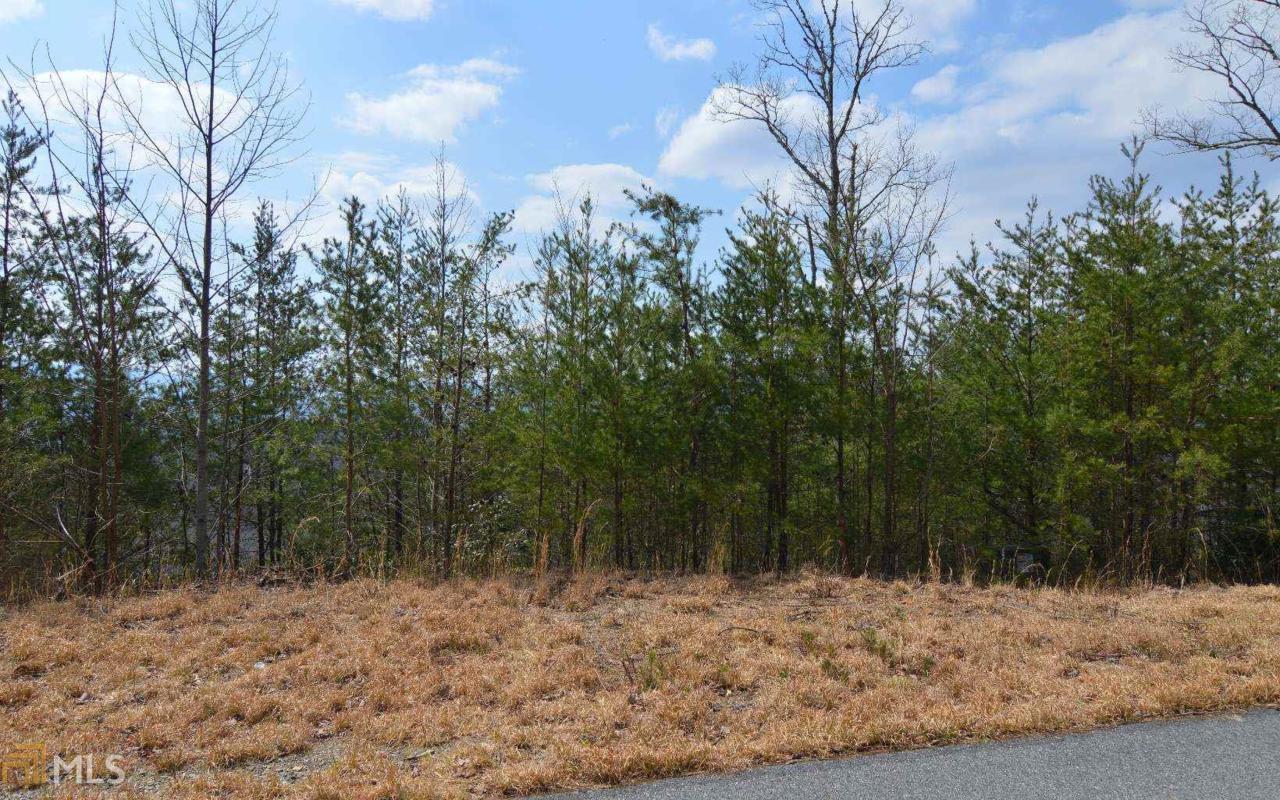 Lot 40 Deer Valley - Photo 1