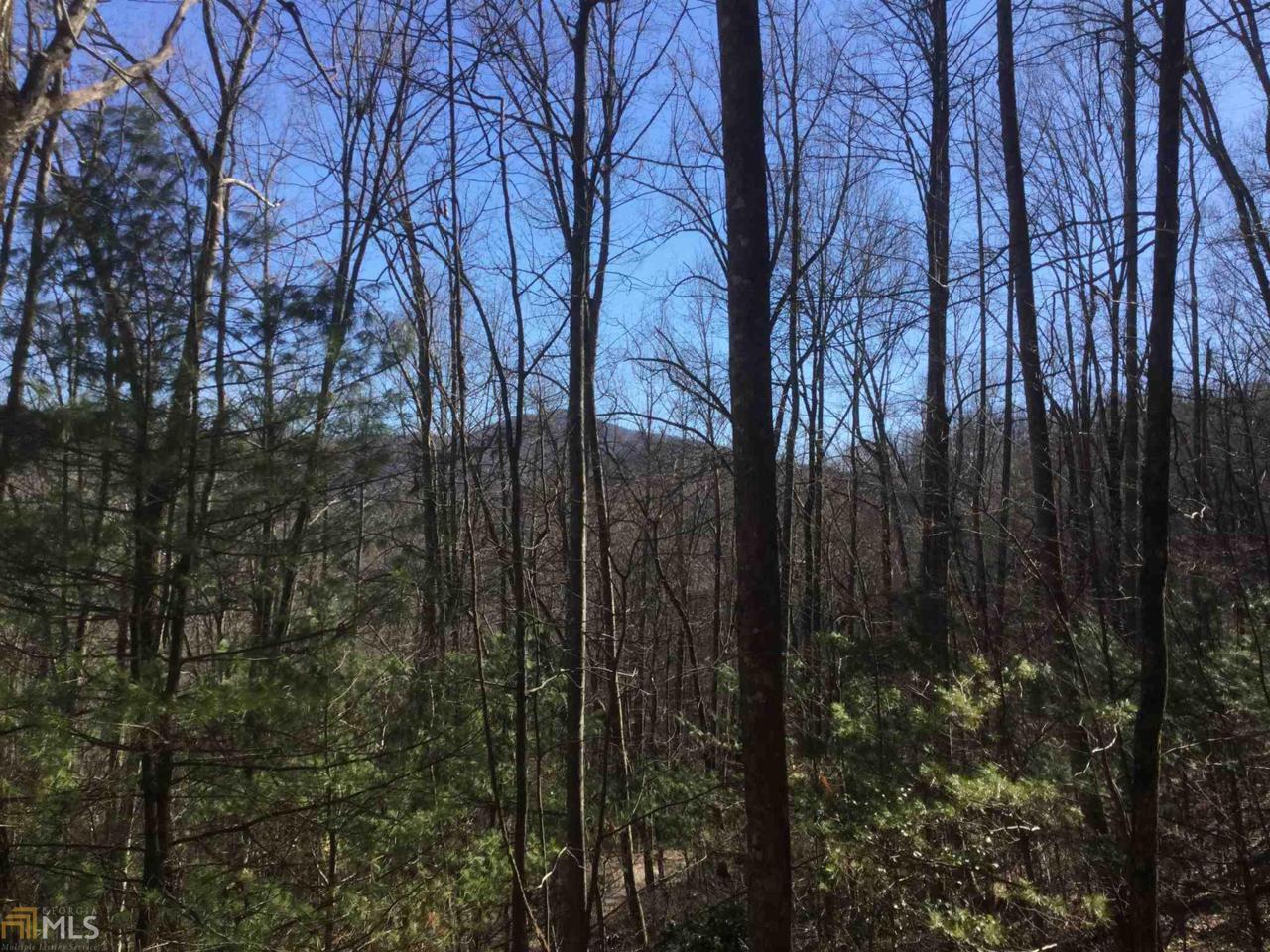 0 Kings Knob Trl - Photo 1