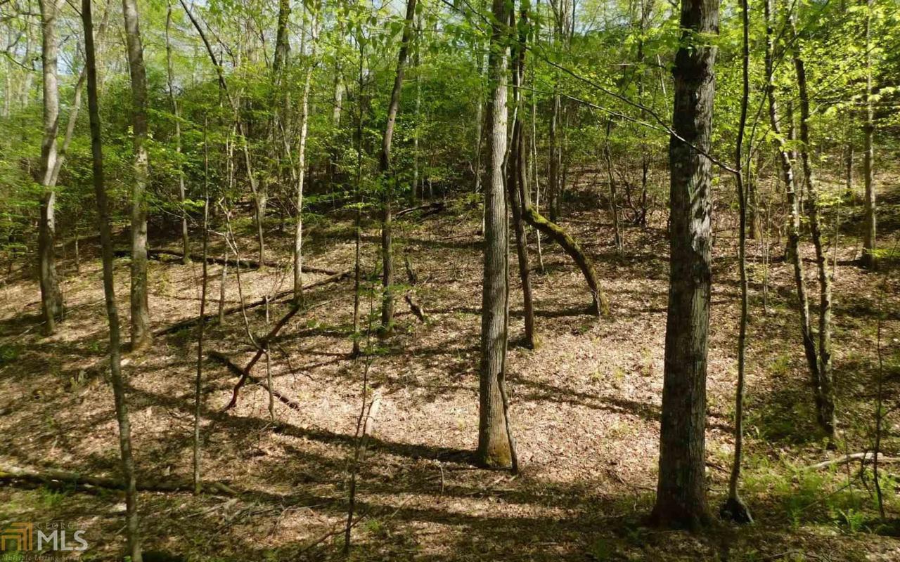 0 Deer Trce - Photo 1