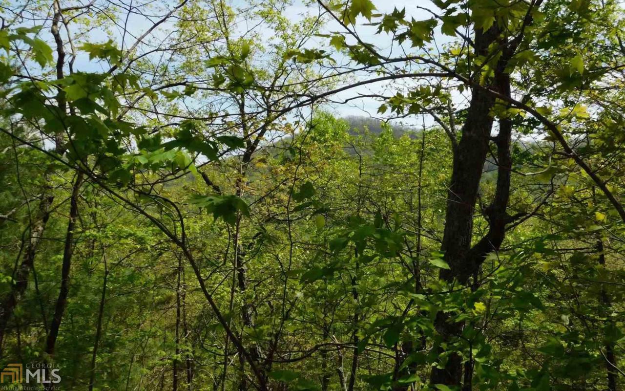 0 Panther Trce - Photo 1