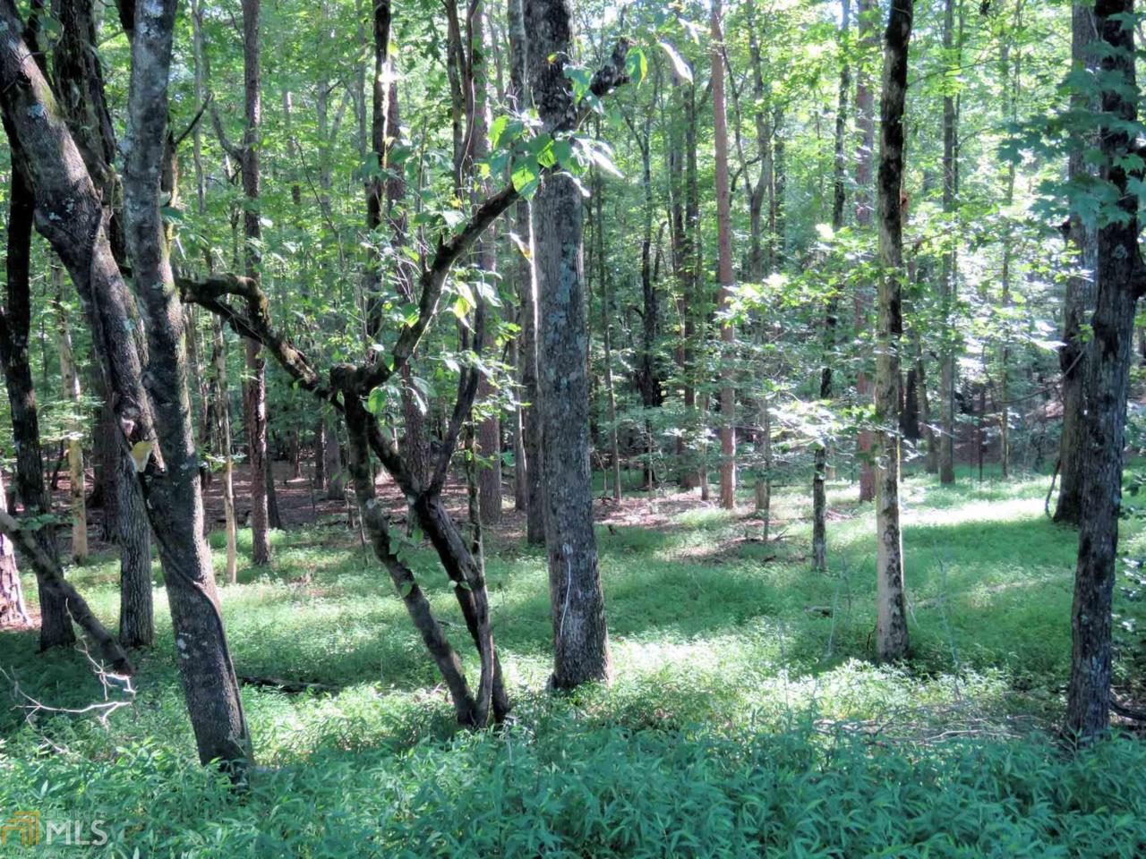 0 Crabapple Ln - Photo 1