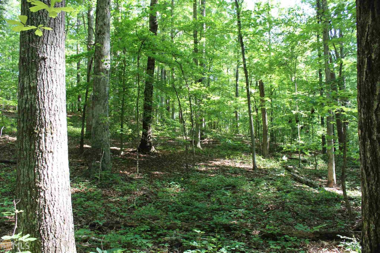 0 Punkintown Rd - Photo 1