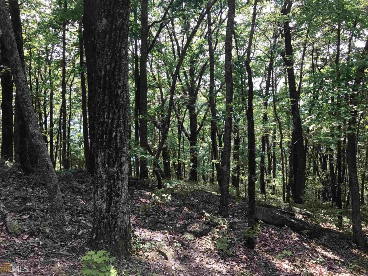2 Mountain Oak - Photo 1