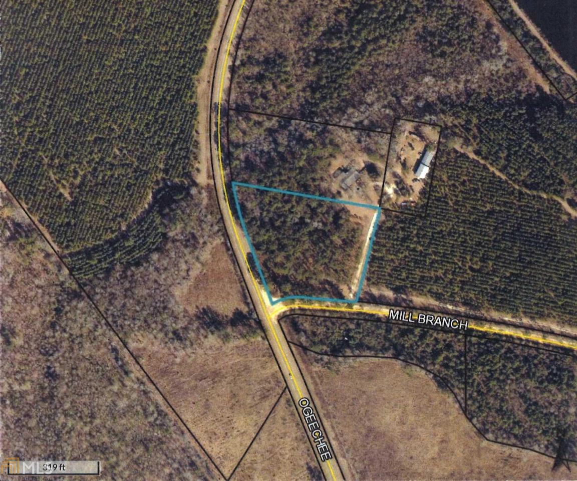 0 Mill Branch Rd - Photo 1