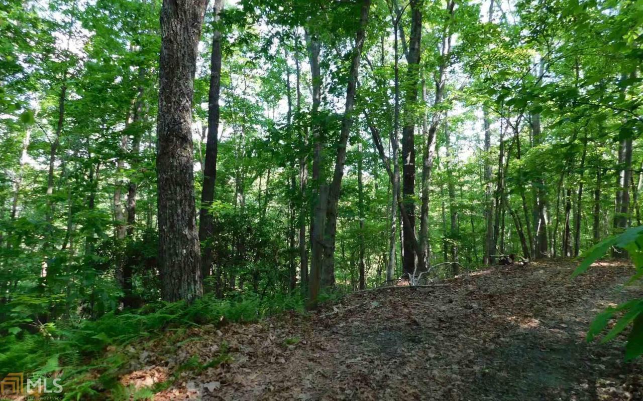 0 Ballard Mountain - Photo 1