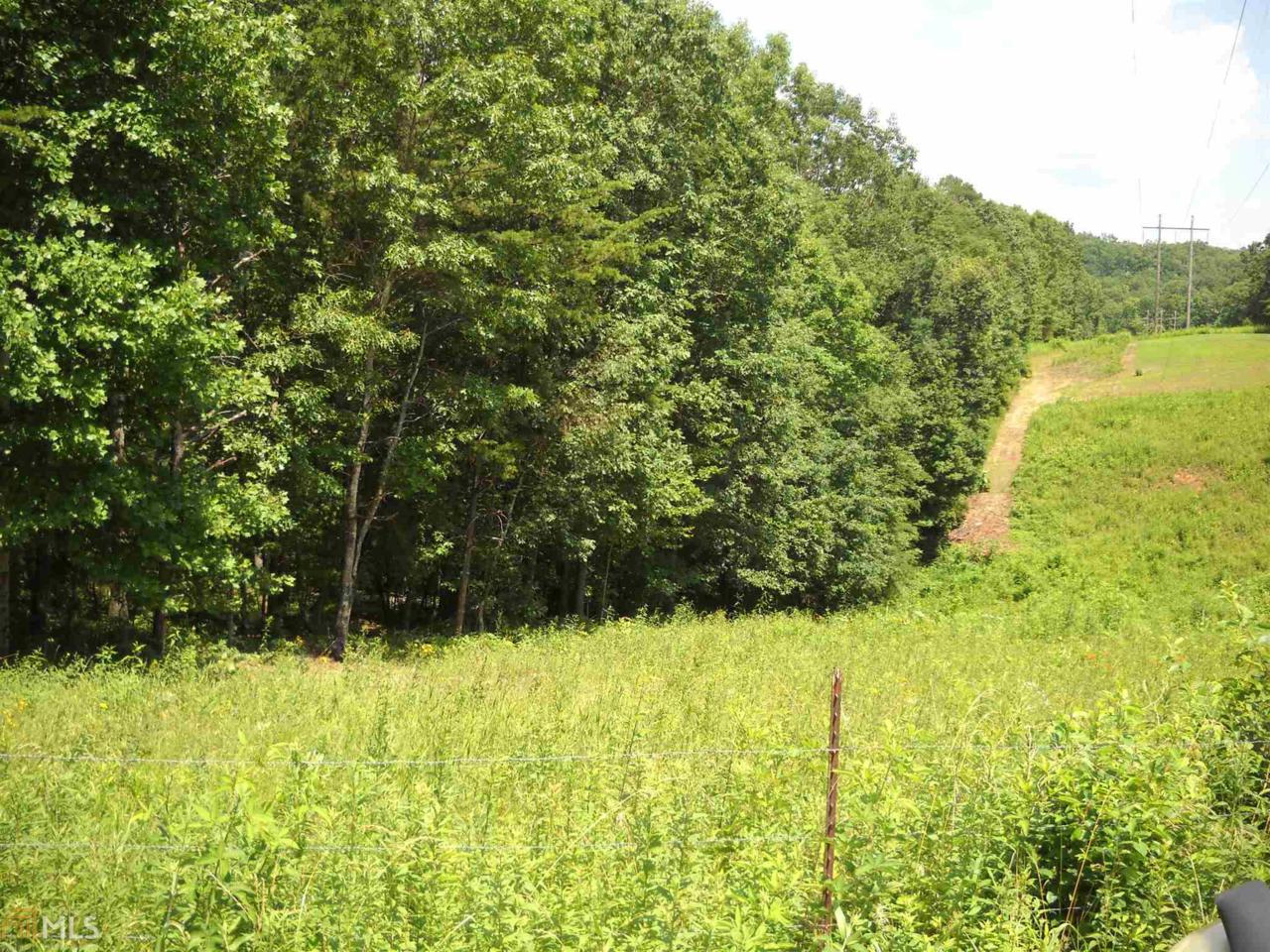 0 Roberts Creek Ln - Photo 1