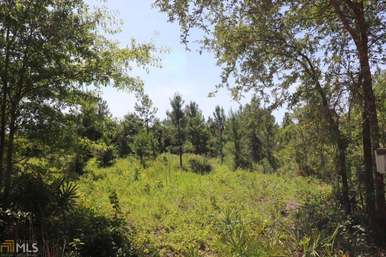 0 Mill Branch Club Rd - Photo 1