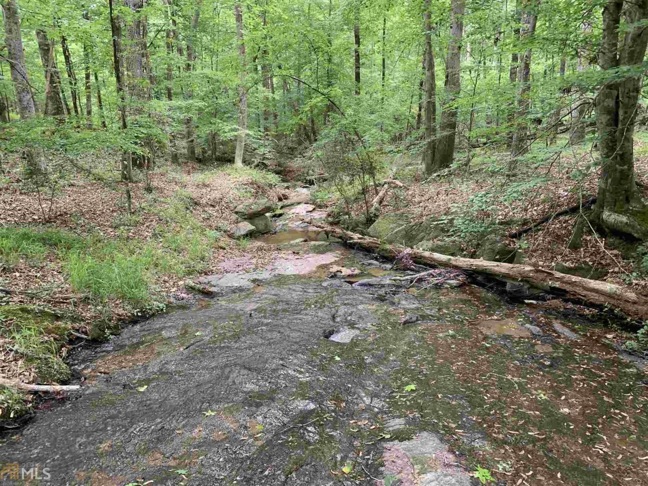 1220 Elder Mill Rd - Photo 1