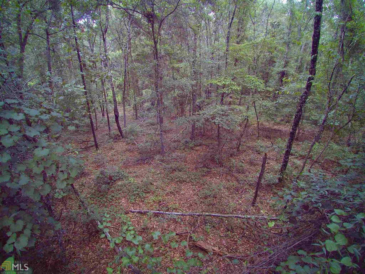 0 Oak Ridge Dr - Photo 1