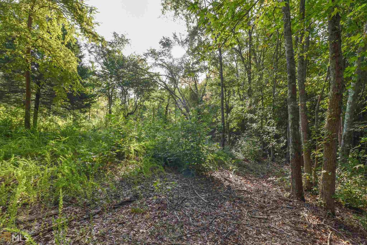 445 Plantation Xing - Photo 1
