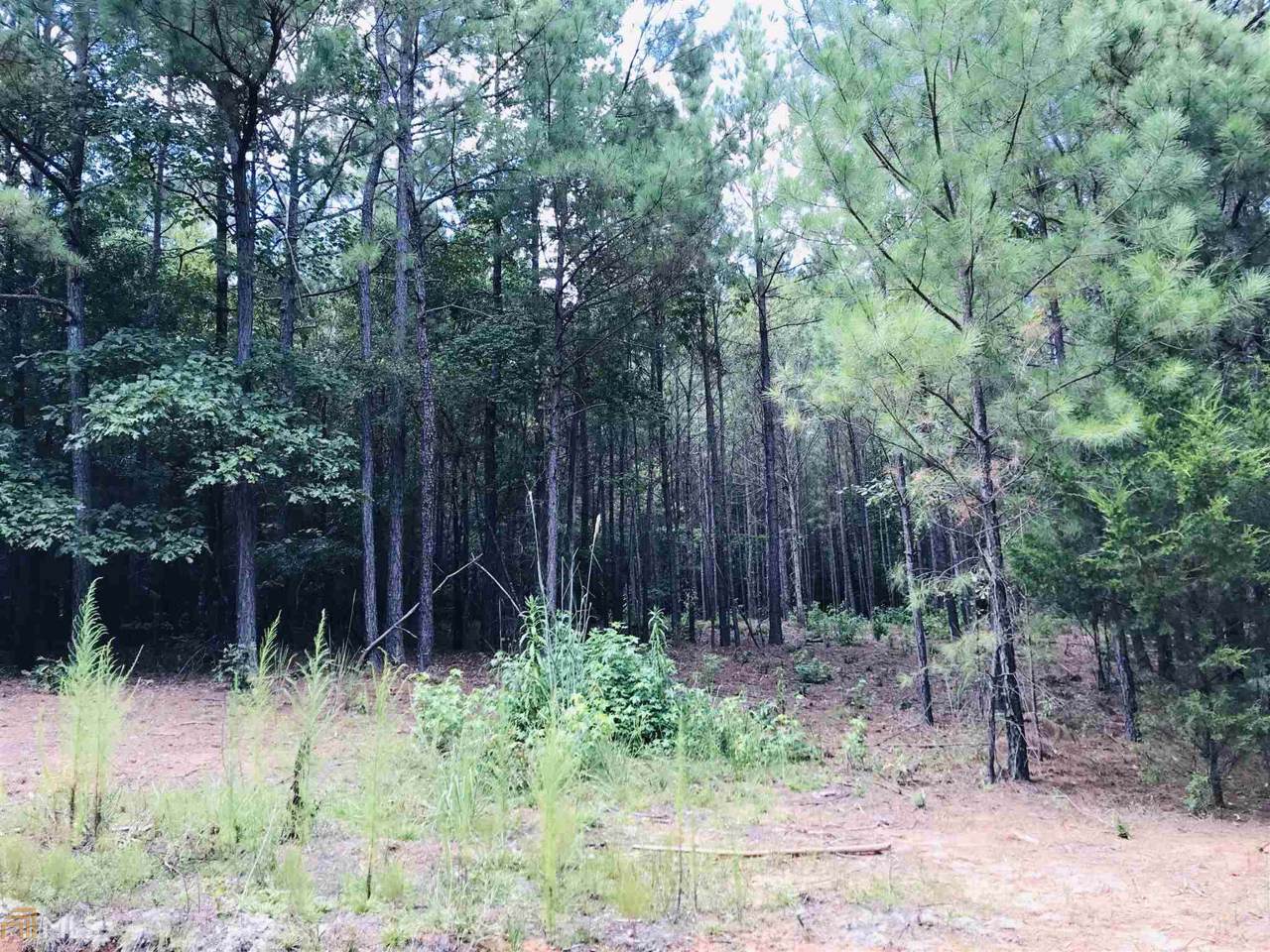 821 Island Shoals Rd - Photo 1