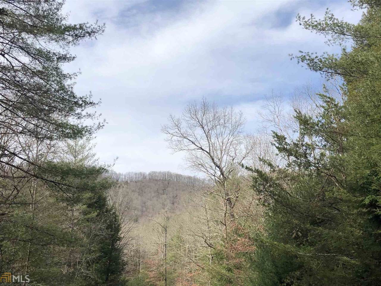 0 White Pine Trl - Photo 1