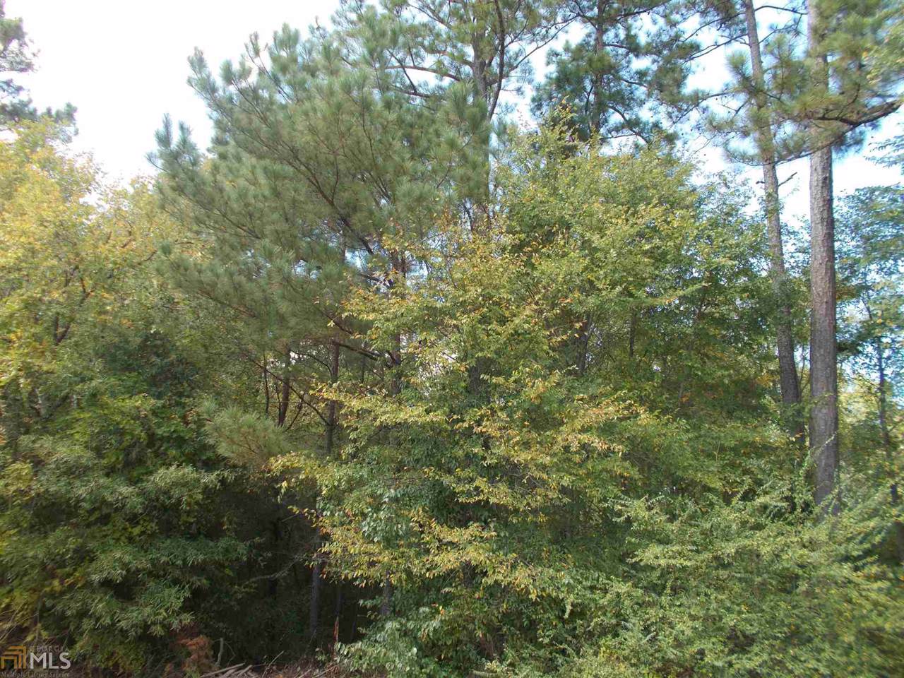 628 Highway 212 - Photo 1