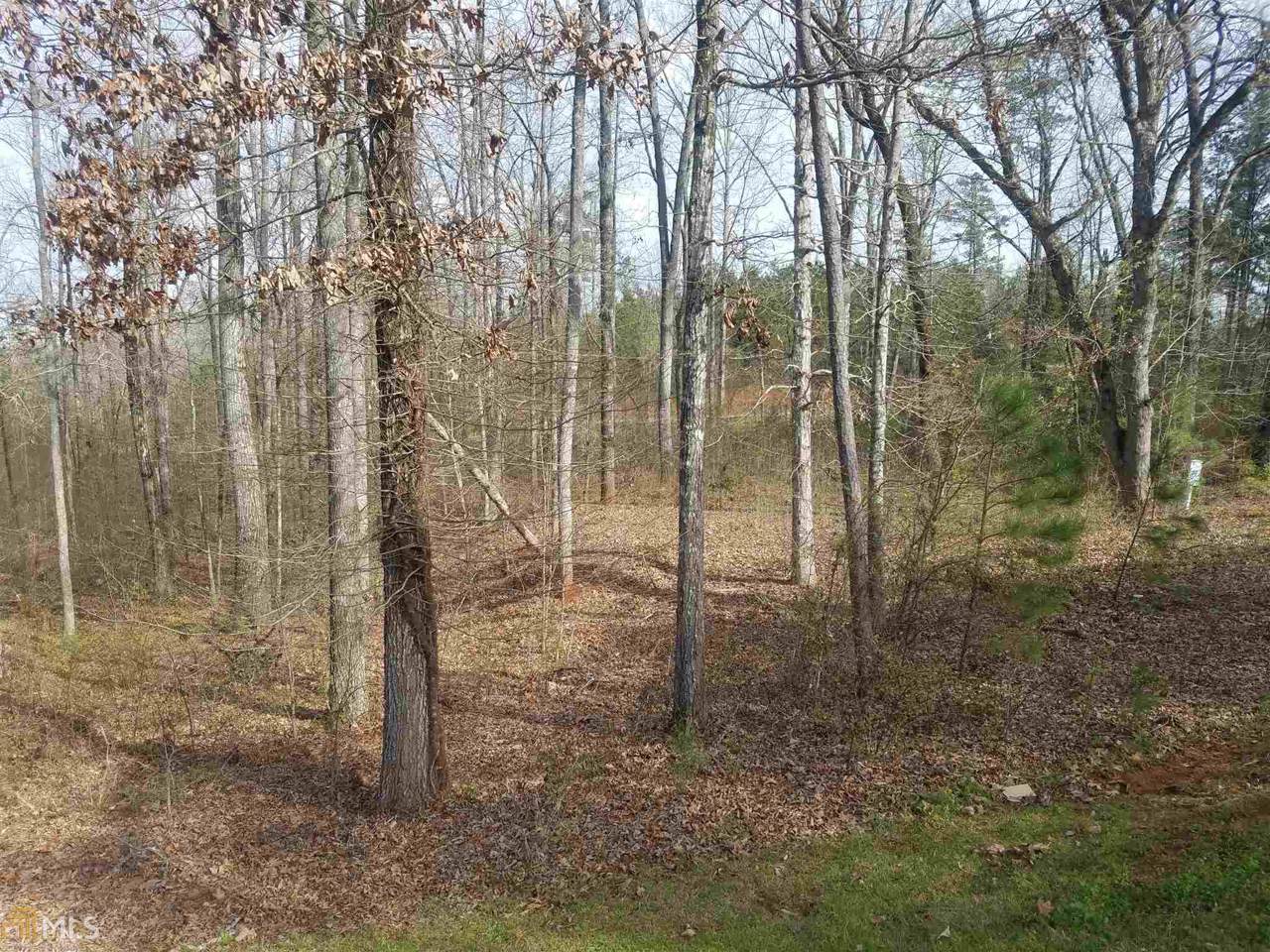 302 River Forest Dr - Photo 1