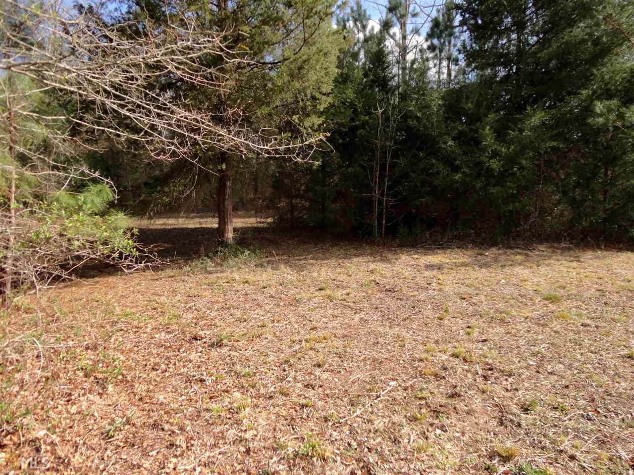 7925 Blacks Mill Rd - Photo 1