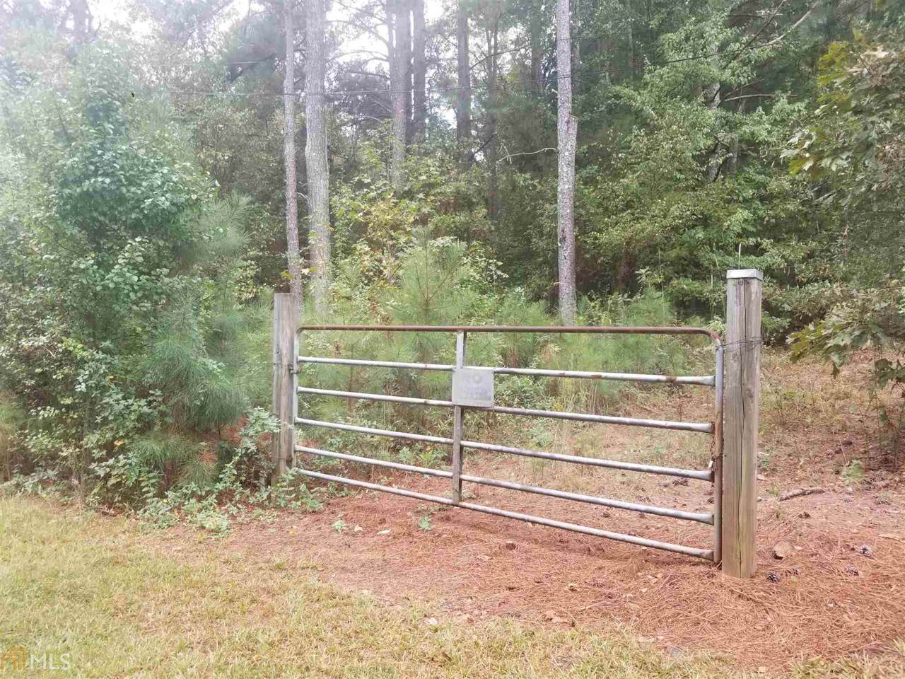 286 Etheridge Rd - Photo 1