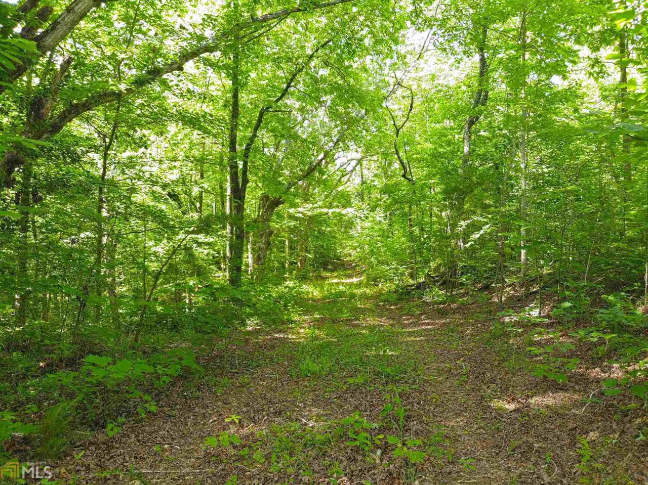 0 Old Wolf Creek Rd - Photo 1