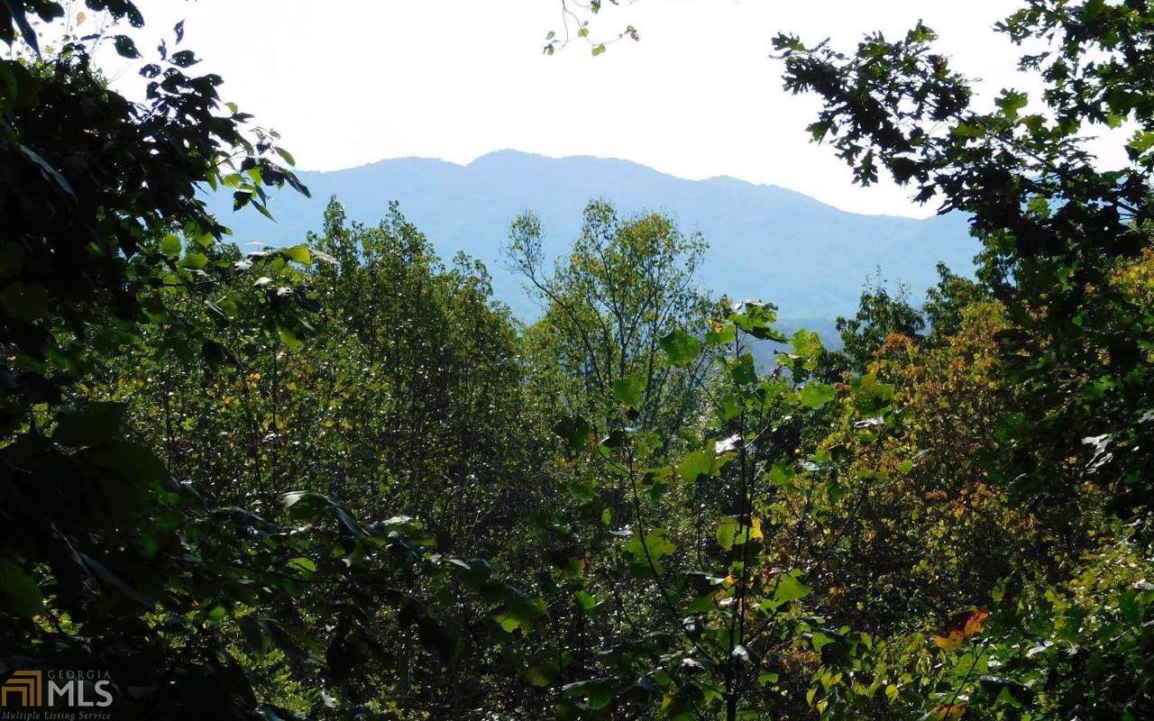 Lot 1B Mining Gap Rd - Photo 1
