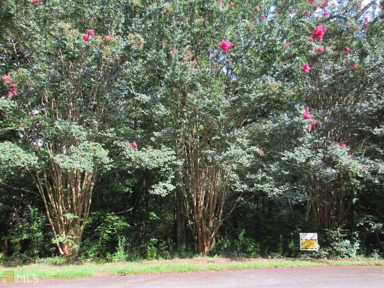 0 Singletree - Photo 1