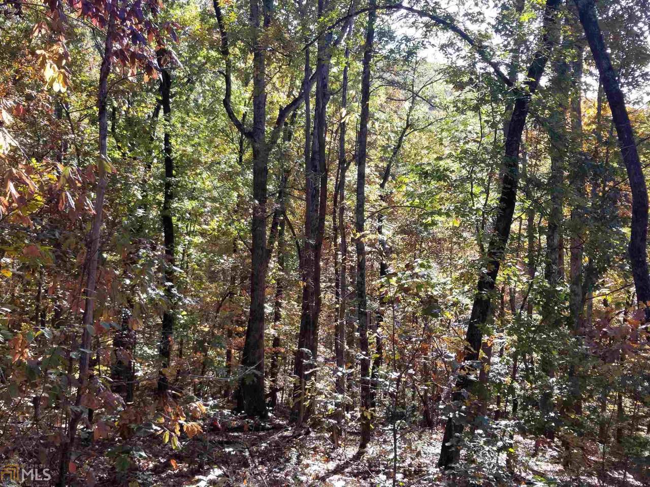 0 Teel Mountain Ln - Photo 1 0 Teel Mountain Ln - Photo 1