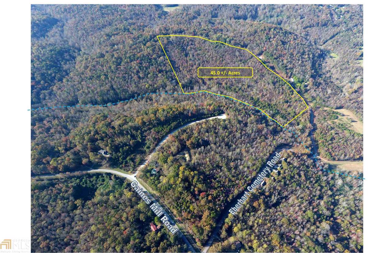 0 Eberhart Cemetery Rd - Photo 1