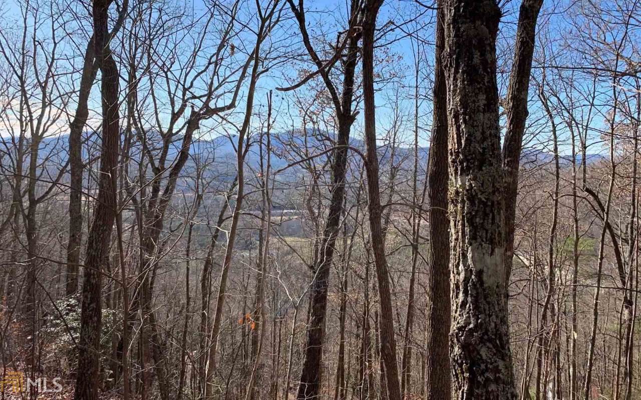 7.74 AC Twiggs Rd - Photo 1