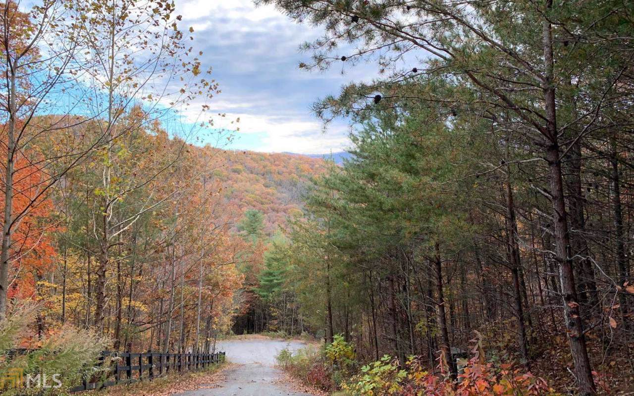 Lot 13 Scenic Views - Photo 1