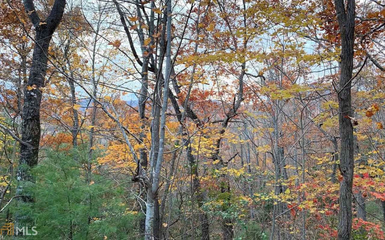 Lot 14 Scenic Views - Photo 1