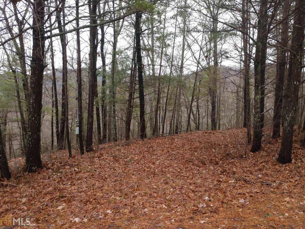 0 Amy Creek Ci - Photo 1