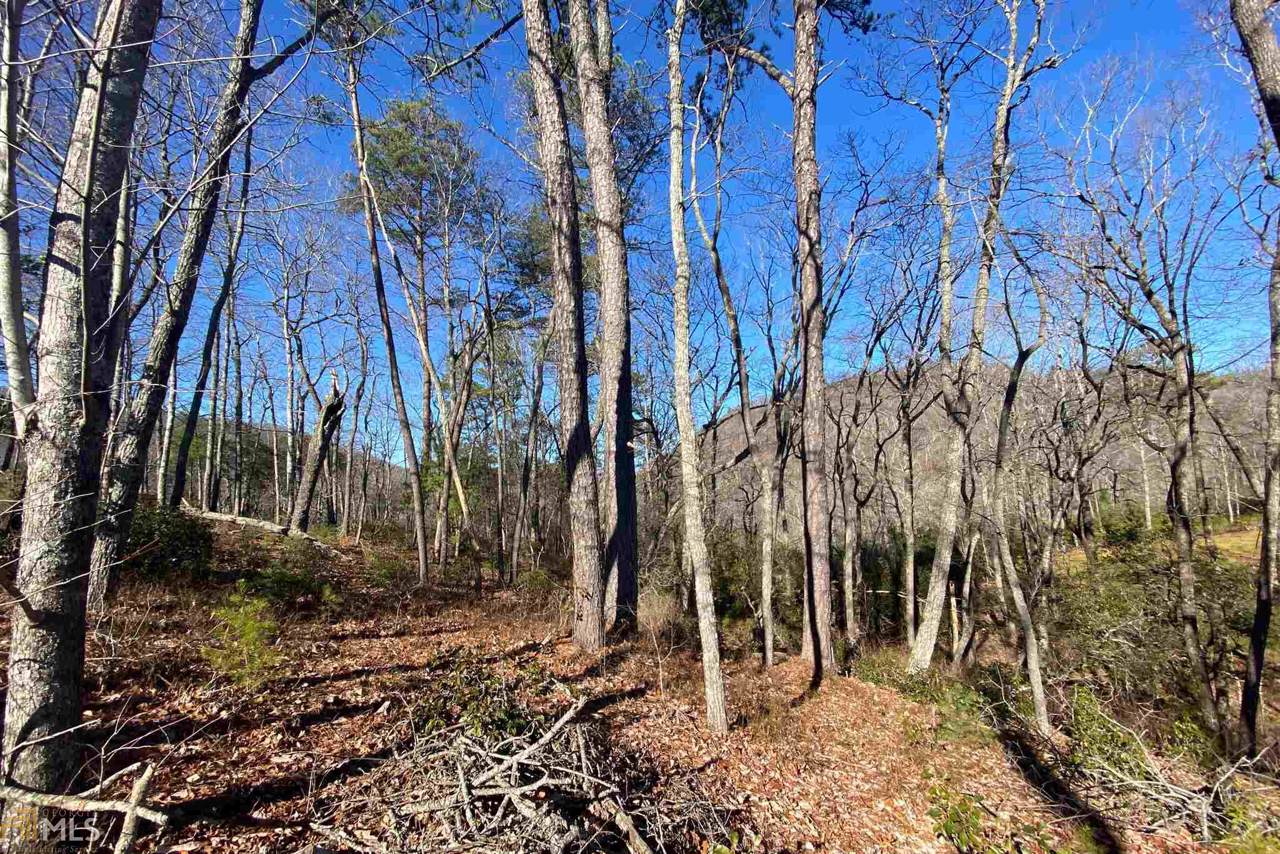 0 Ridgeline Ct - Photo 1