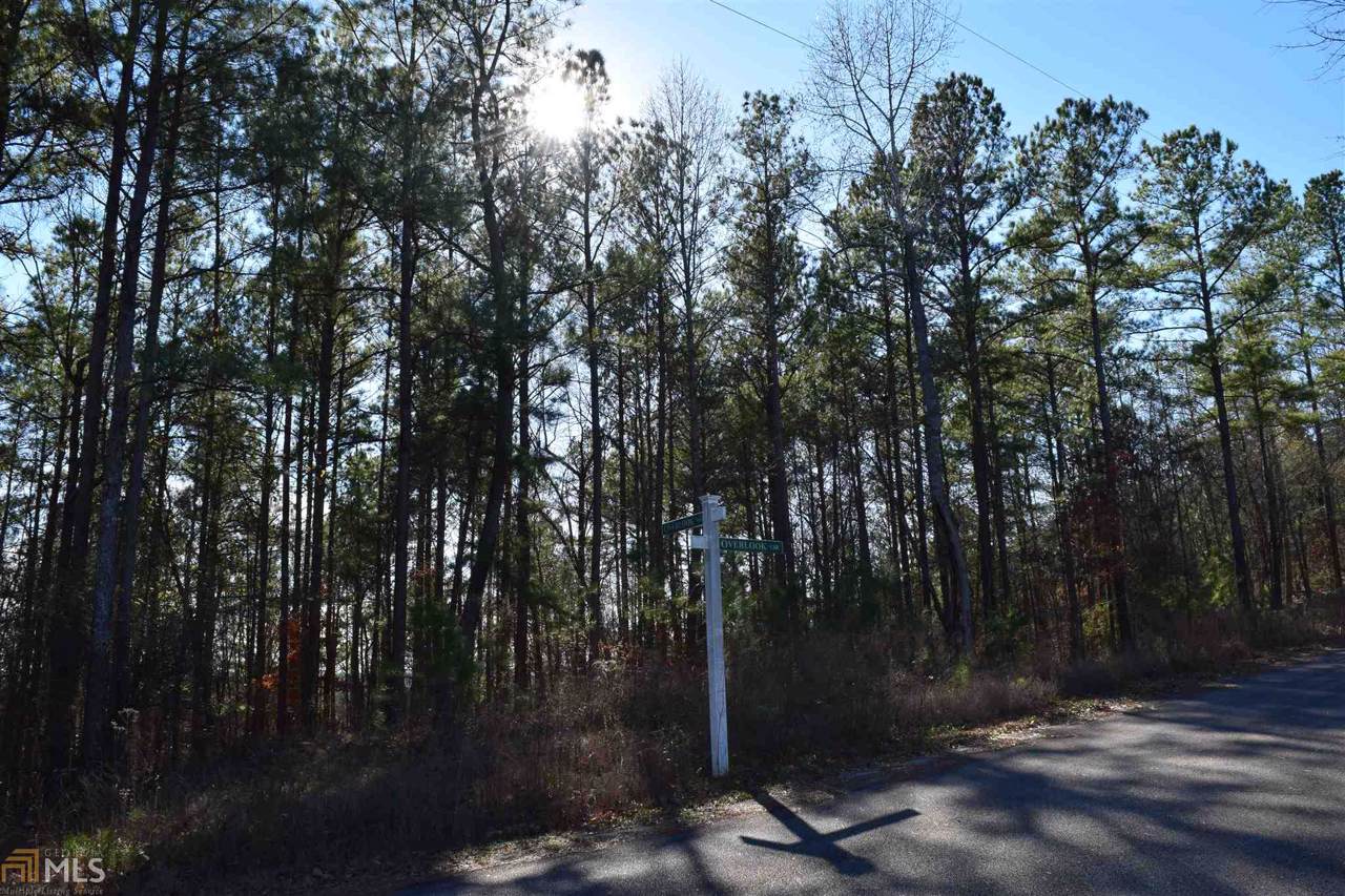 Lot 17 & 18 Co Rd 299 - Photo 1
