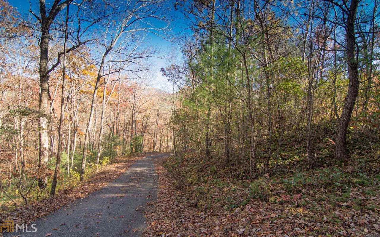 0 White Oak Forest - Photo 1