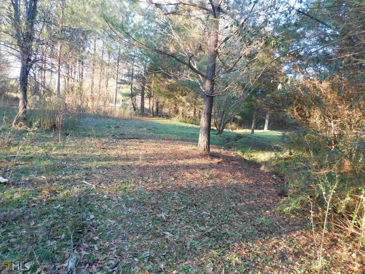 4408 Highway 81 - Photo 1