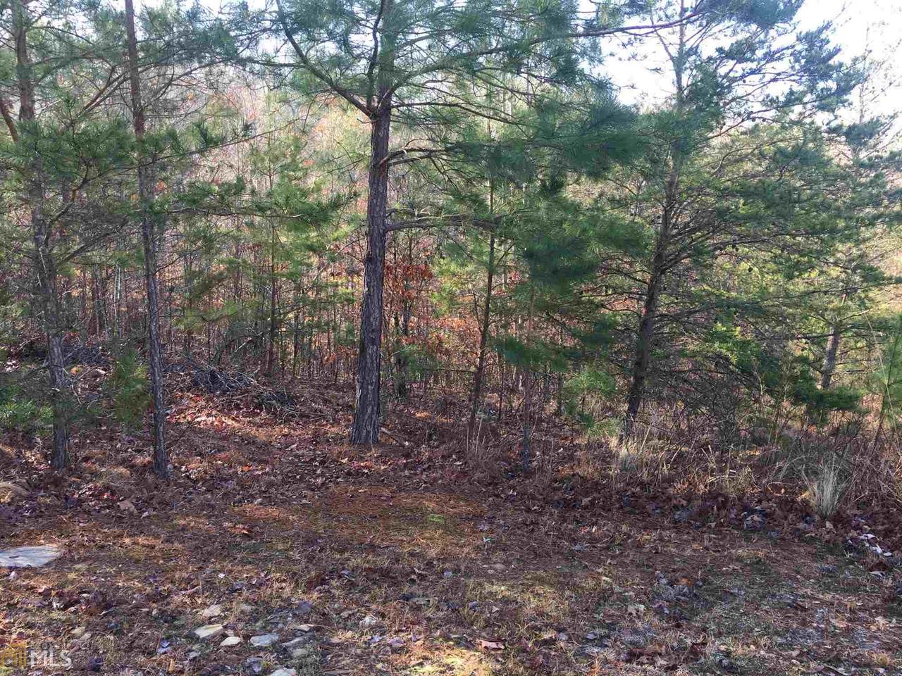 303 Hemlock Cv - Photo 1