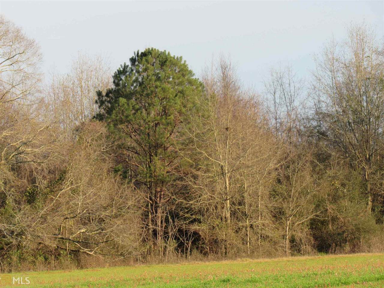 0 Highway 39 - Photo 1